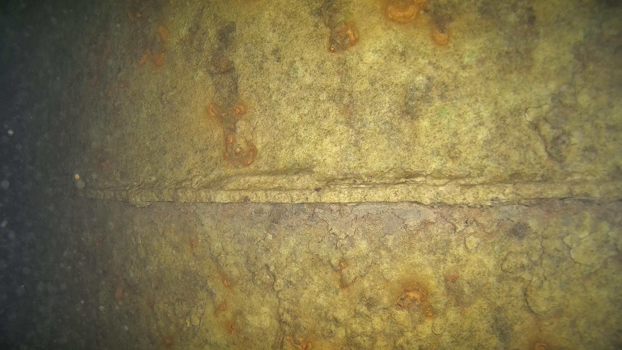 水下機(jī)器人 水下機(jī)器人